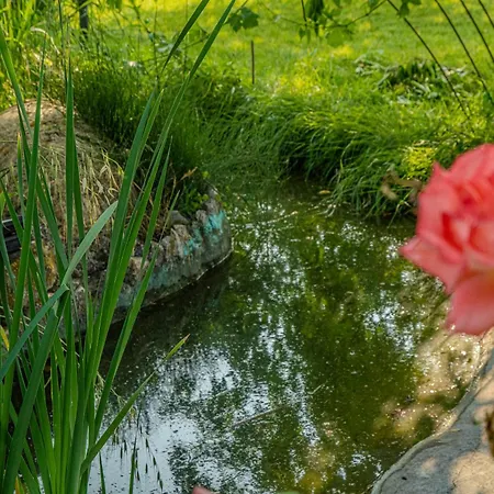 Il Laghetto 4 Apartamento Bettona