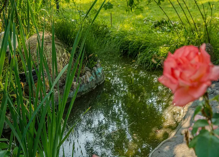 Il Laghetto 4 Apartment Bettona